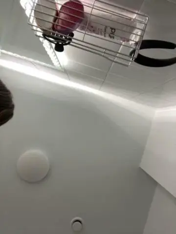 669Aleksa669Bongacams Porn Cam 2023-11-24