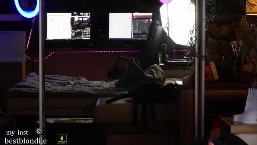 BestblondieBongacams Porn Cam 2023-11-24