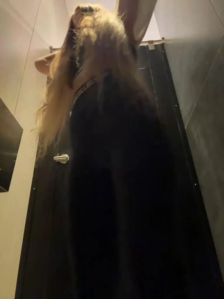 BlondinochkaaBongacams Porn Cam 2024-01-29