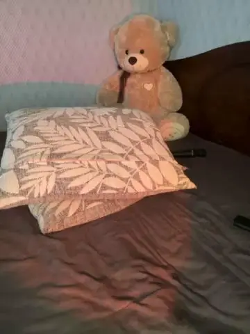 DandimilkBongacams Porn Cam 2023-10-30