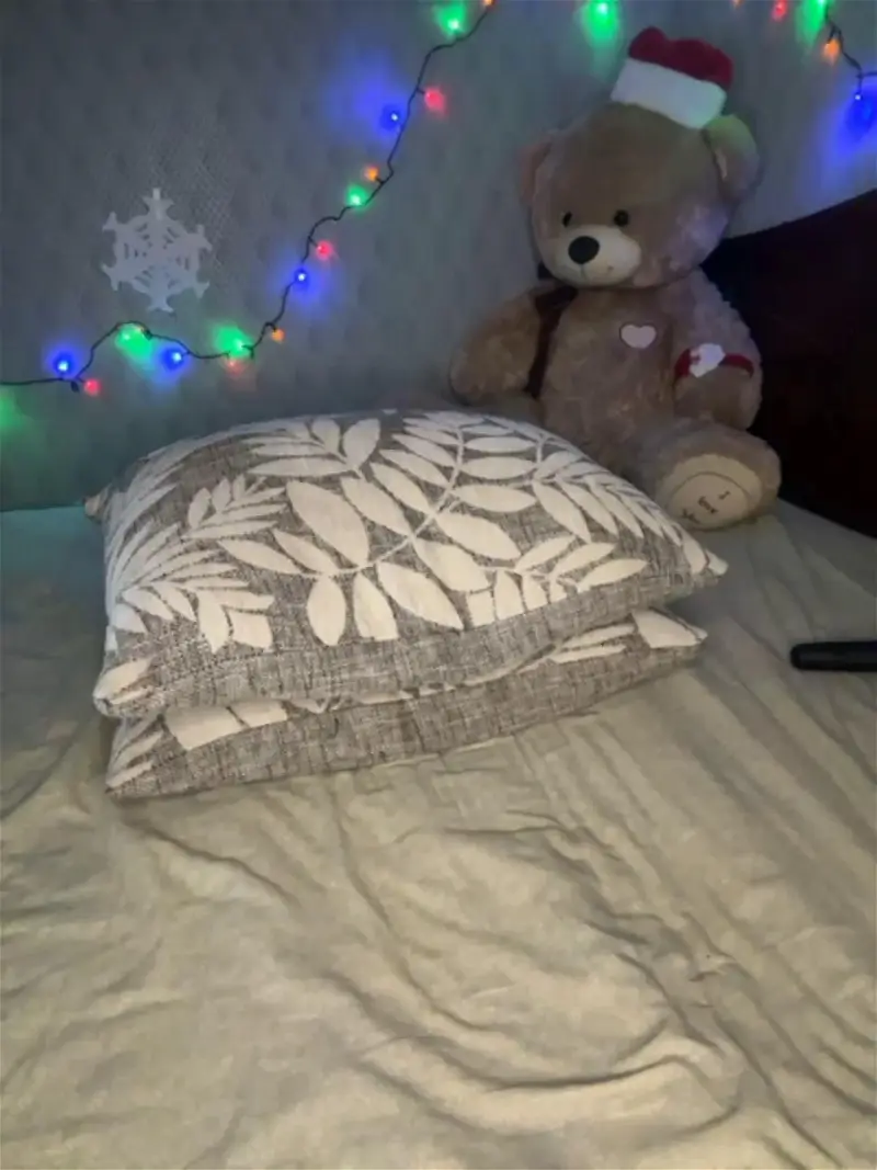 DandimilkBongacams Porn Cam 2023-12-08