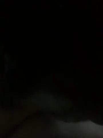 Felix241Bongacams Porn Cam 2023-09-21