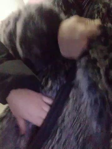 Karadi4Bongacams Porn Cam 2023-11-25