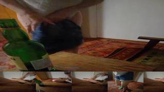 Nastenka2021Bongacams Porn Cam 2023-09-19