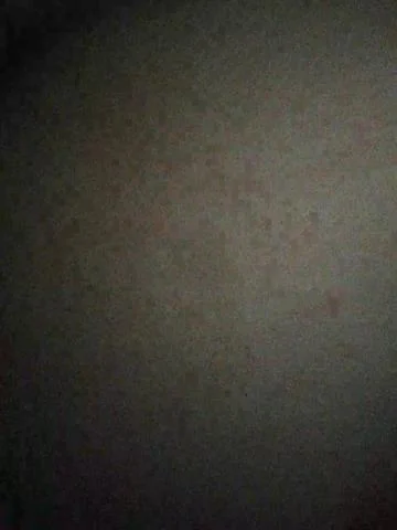 OliJaneBongacams Porn Cam 2023-12-09