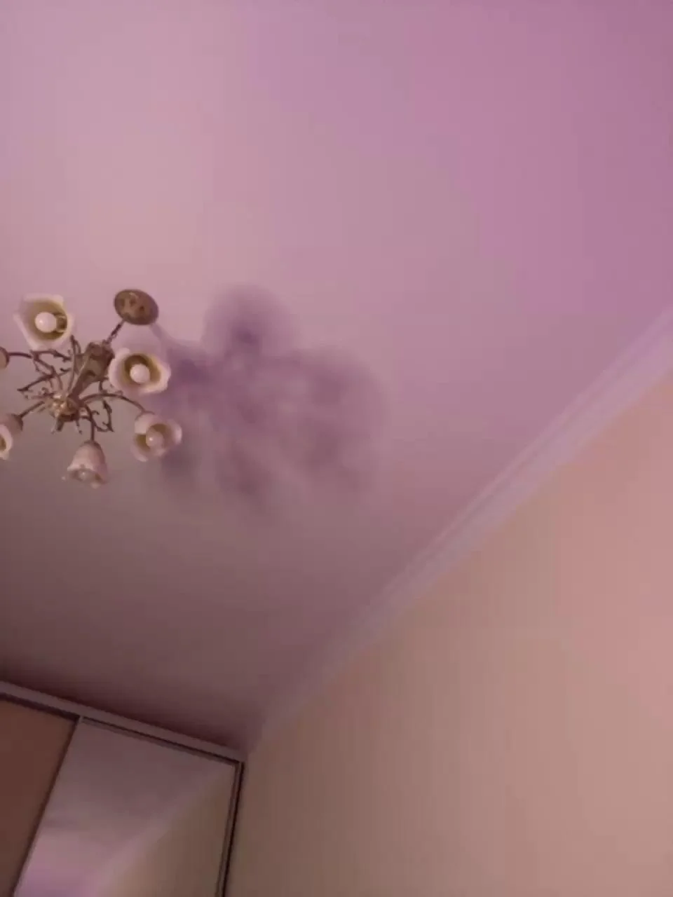 PrincessloveBongacams Porn Cam 2023-12-28