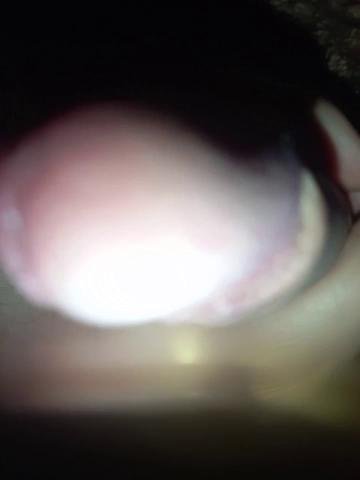 Saha20saha241Bongacams Porn Cam 2023-09-25