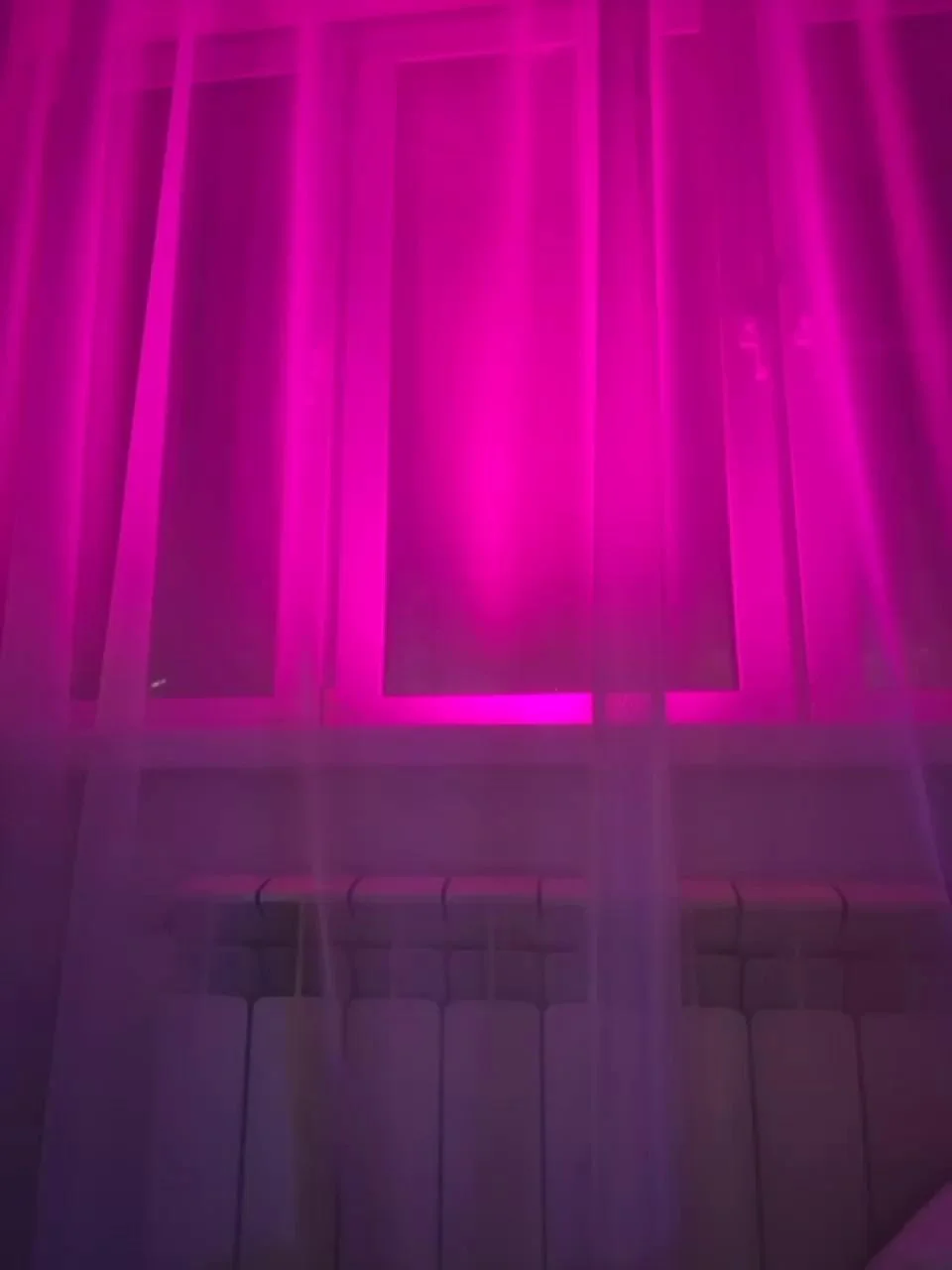 Sexyboss96Bongacams Porn Cam 2024-01-24