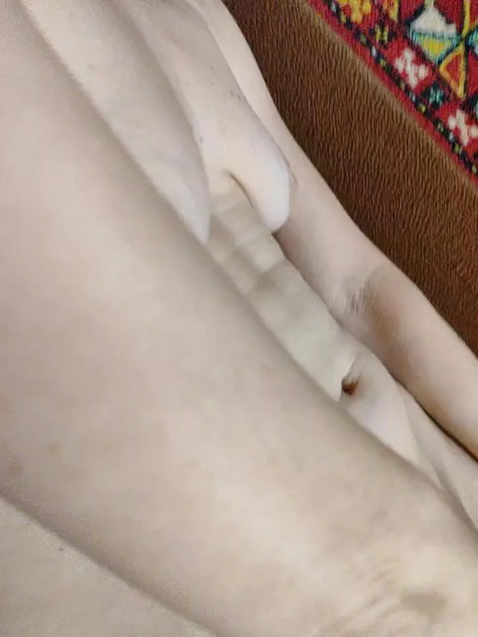 Super-CoupleBongacams Porn Cam 2024-01-06