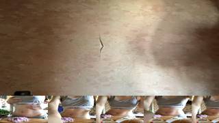 TaylordirolBongacams Porn Cam 2023-07-06