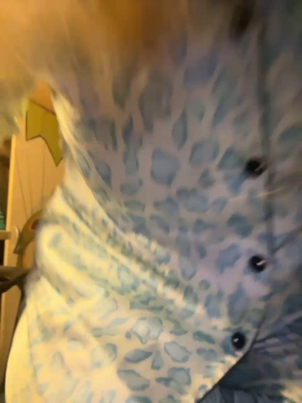 Trulya69Bongacams Porn Cam 2024-02-03