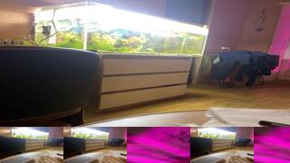 Zhozhoba69Bongacams Porn Cam 2023-09-28