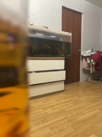 Zhozhoba69BongaCams Porn Cam 2023-12-12