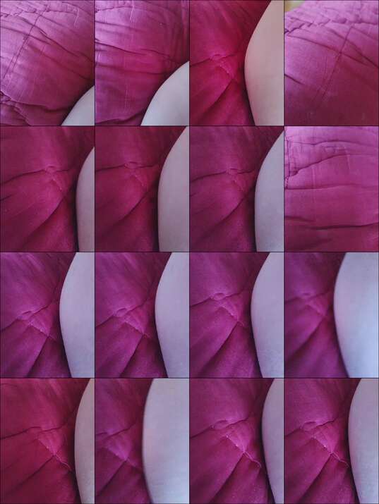 X_WildcatBongaCams Porn Cam 2024-04-01