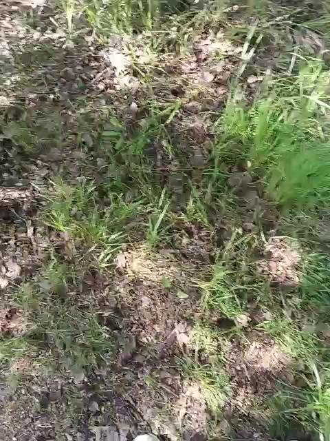 Lissazmark2Bongacams Porn Cam 2024-06-08