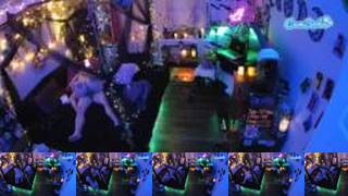 Voyeurcam-veccasalt-01Camsoda Porn Cam 2023-09-17