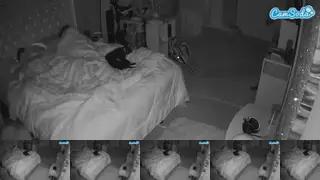Voyeurcam-house-charleys-roomCamsoda Porn Cam 2024-03-26
