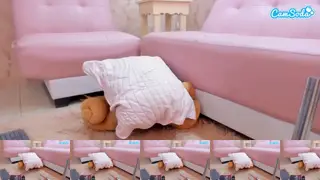 BigbeautyassCamsoda Porn Cam 2024-07-25