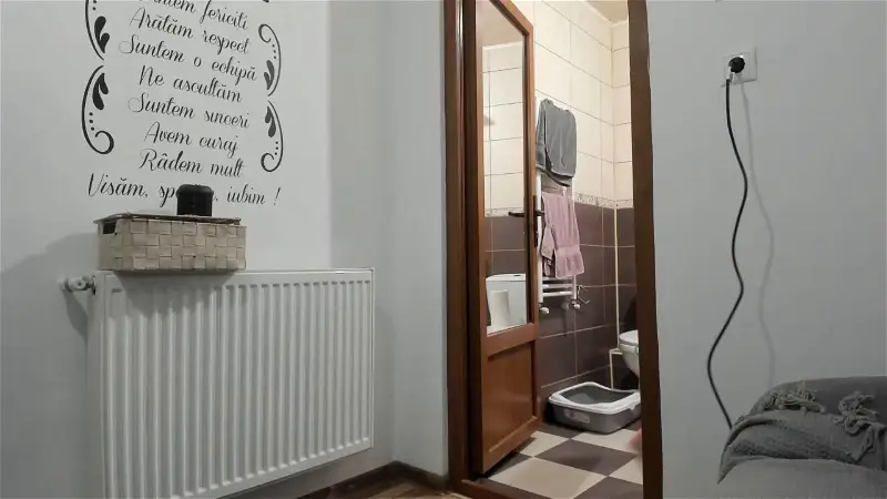 AbbybunnyyChaturbate Porn Cam 2024-01-03