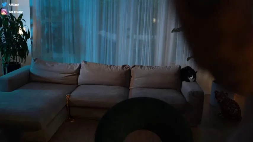 Lace___Chaturbate Porn Cam 2023-11-24