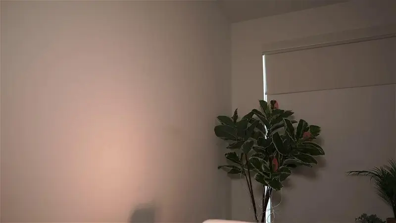 Letiziafulkers1Chaturbate Porn Cam 2024-01-29