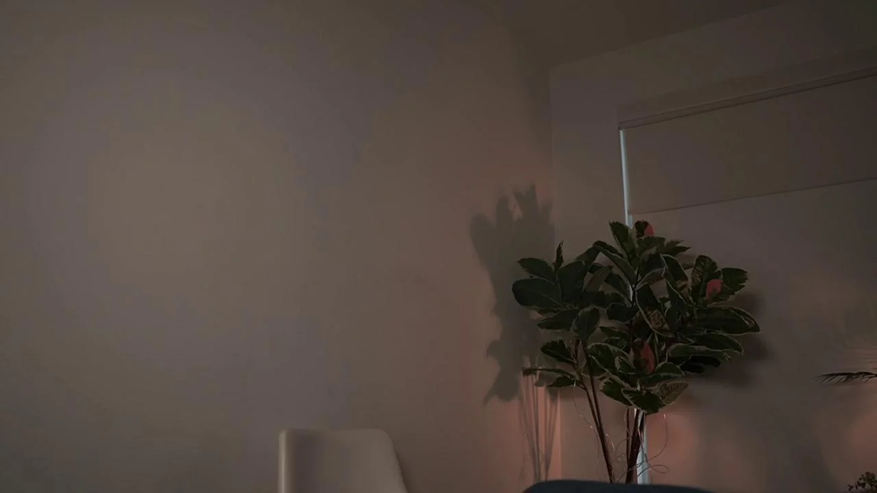 Letiziafulkers1Chaturbate Porn Cam 2024-01-31