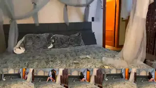 Roxy1105Chaturbate Porn Cam 2024-01-24