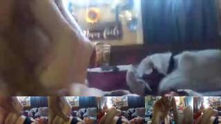 ShawnandjennChaturbate Porn Cam 2023-07-04