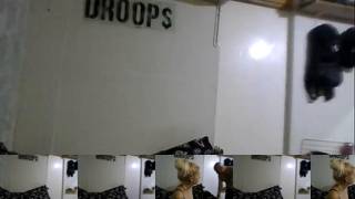 Temptress2200Chaturbate Porn Cam 2023-09-04