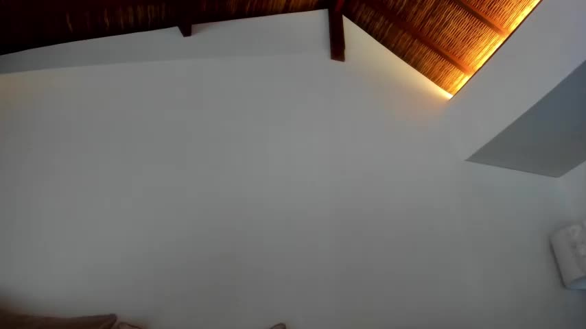 Alexislove007Chaturbate Porn Cam 2023-07-13
