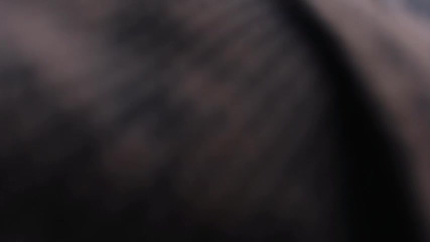Annaliese_bachChaturbate Porn Cam 2023-04-28
