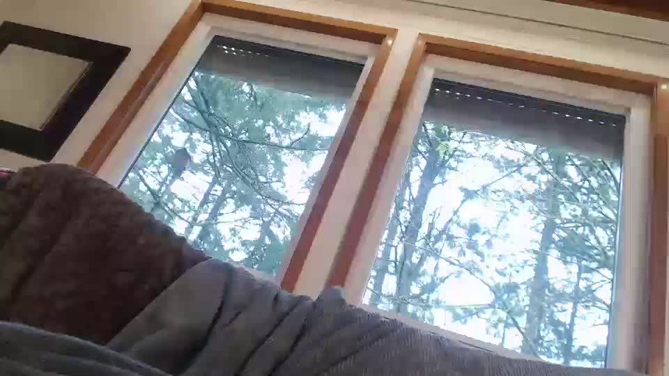 PixiepoemsChaturbate Porn Cam 2023-04-25