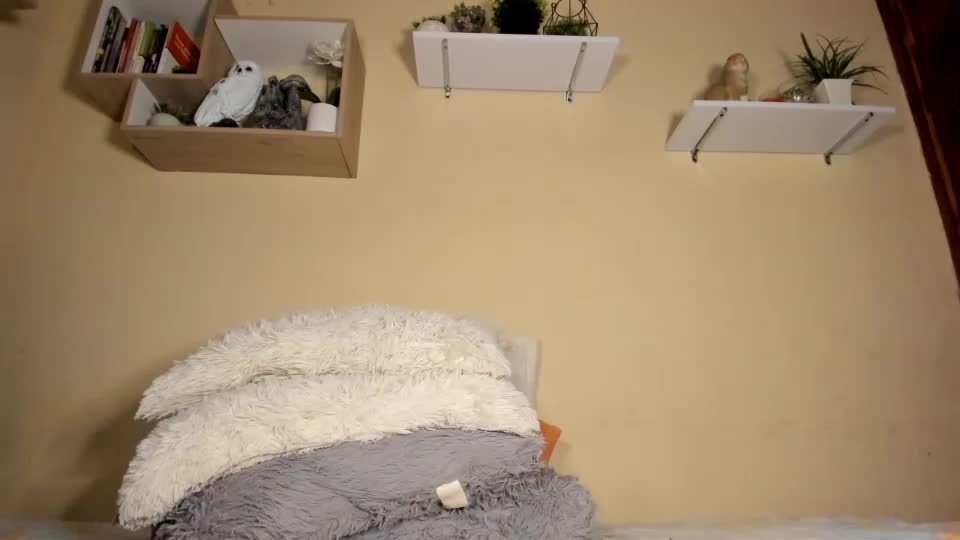 SweetshiroChaturbate Porn Cam 2023-06-15