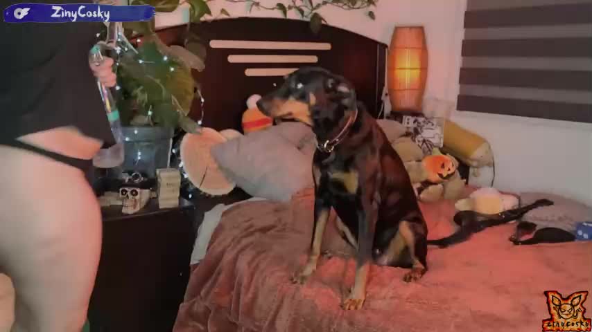 Ziny_coskyChaturbate Porn Cam 2023-05-14