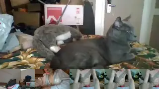 Tin3tit3Chaturbate Porn Cam 2024-04-26
