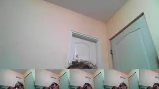 PlayfuljennyChaturbate Porn Cam 2024-09-07