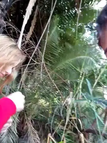 LeylaRosseStripchat Porn Cam 2023-12-10